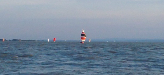 Die Shark vorne dabei (Foto von der Seascape)